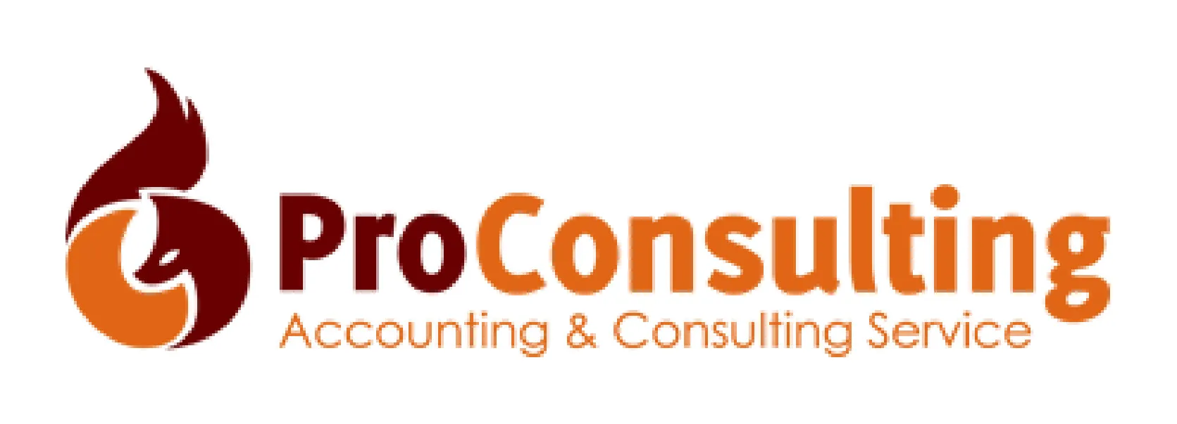 Pro consulting